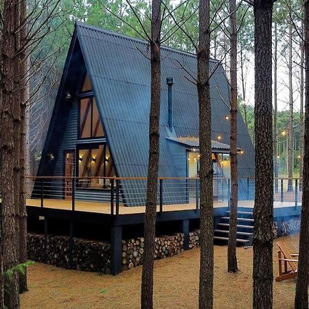 Cabana Alameda Black Камбара Экстерьер фото