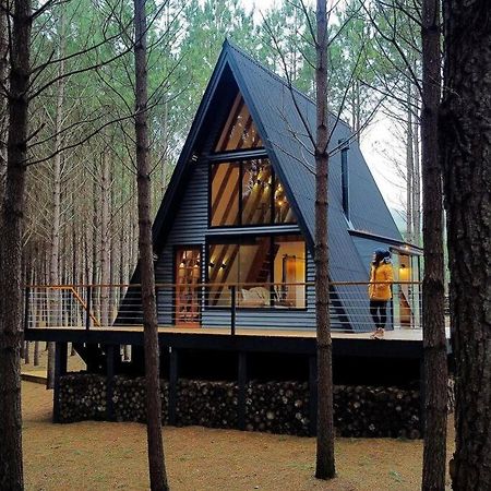 Cabana Alameda Black Камбара Экстерьер фото